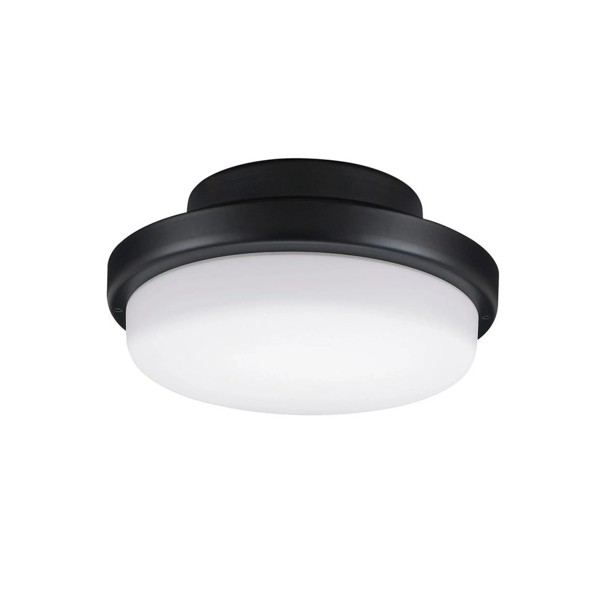 Melinoe Ceiling Fan Light Kit - Standard - Marine Grade