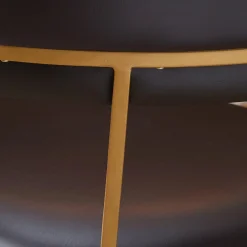 Mid-Century Chic Dining Chair