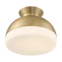 Milvus Ceiling Light