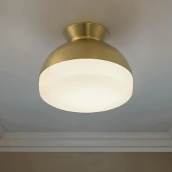 Milvus Ceiling Light