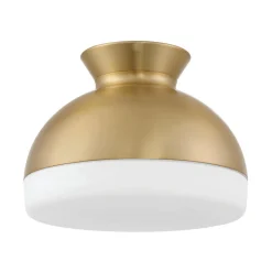 Milvus Ceiling Light