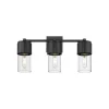 Mirza Clear Glass Vanity Light - 3 Light