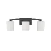 Nelly Vanity Light - 3 Light