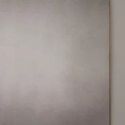 Nico Mirror