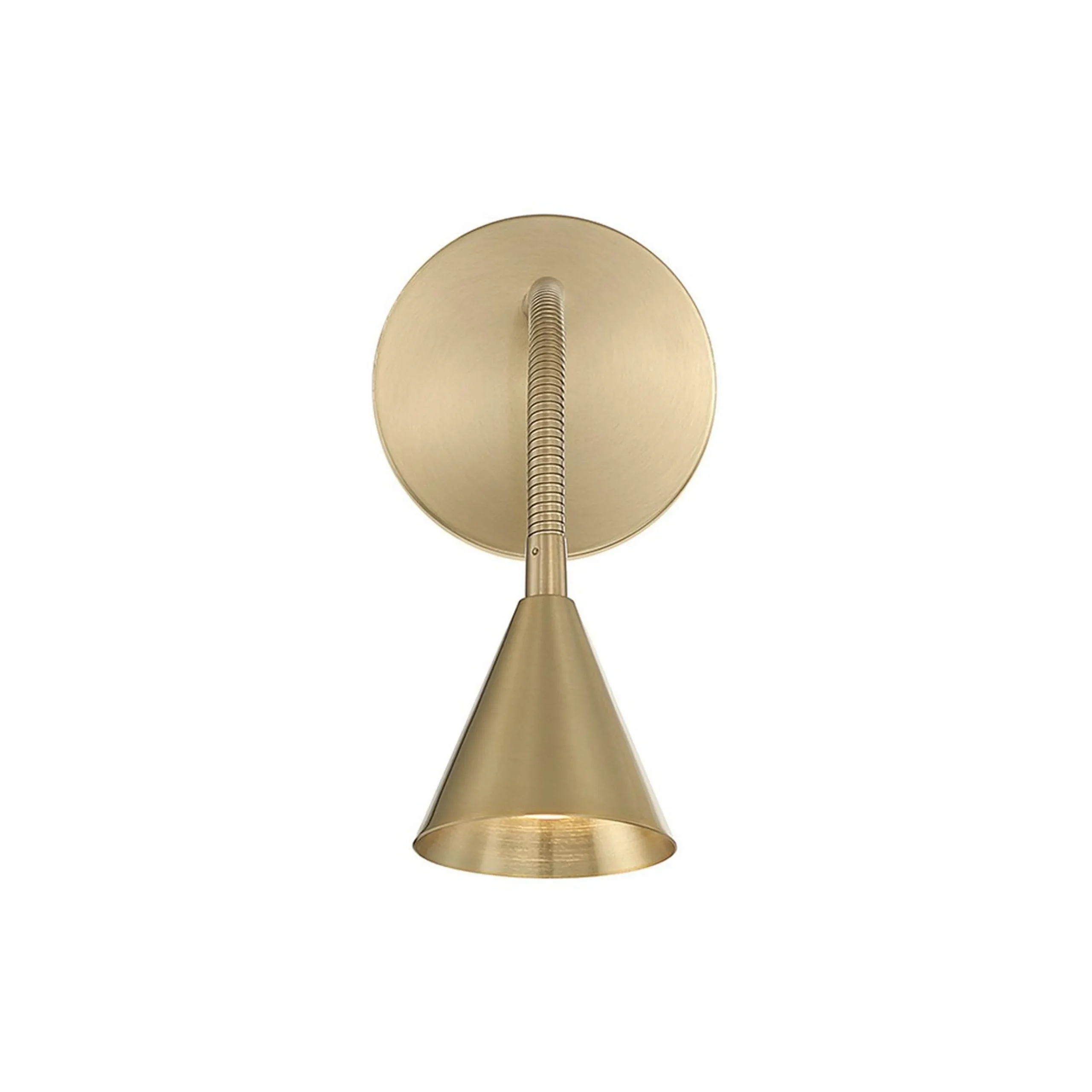 Nubia LED Gooseneck Swing Arm Sconce