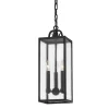 Nunoz Indoor/Outdoor Hanging Lantern