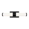 Nycteus LED Vanity Light - 18"