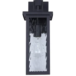 Oleander Outdoor Sconce - 1 Light