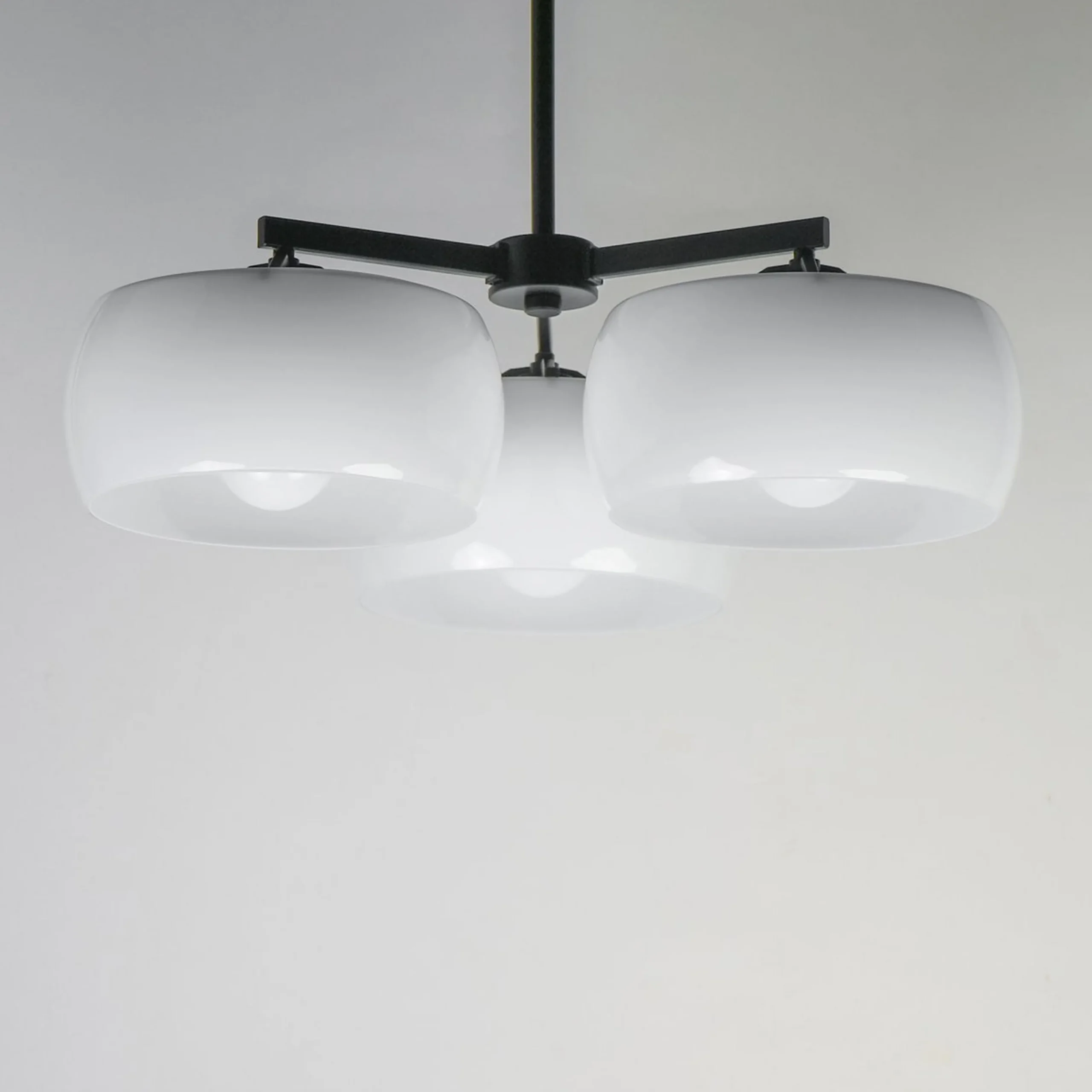 Olindo Chandelier- 3 Light