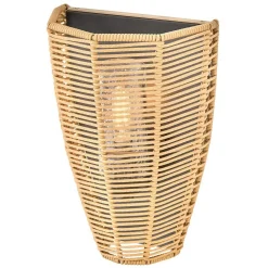 Organic Modern Outdoor Sconce