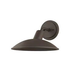Osvalda Outdoor Sconce