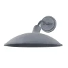 Osvalda Outdoor Sconce - Large
