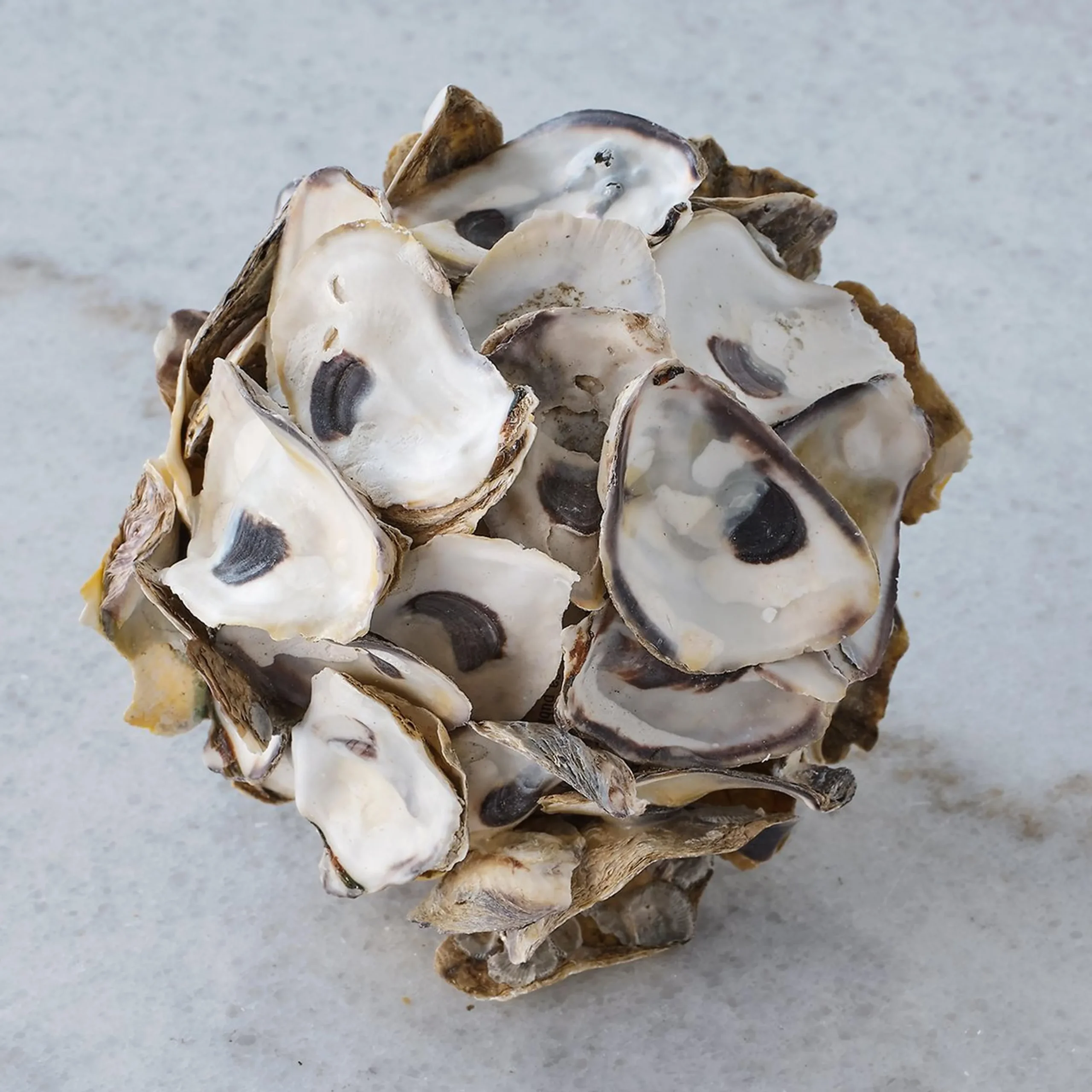 Oyster Shell Balls - Set of 4