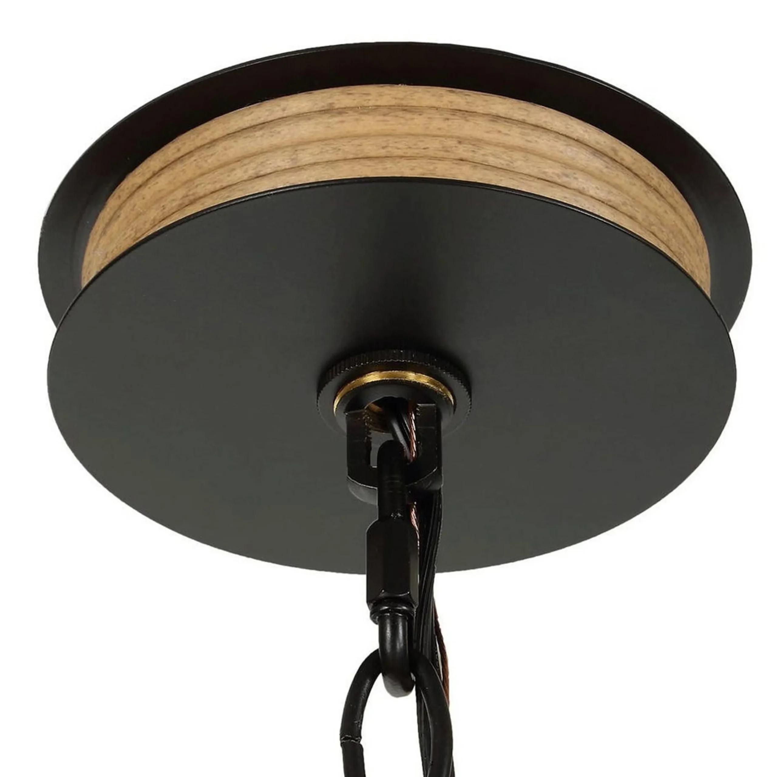 Passerine Indoor / Outdoor Chandelier