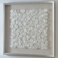Placuna Wall Art