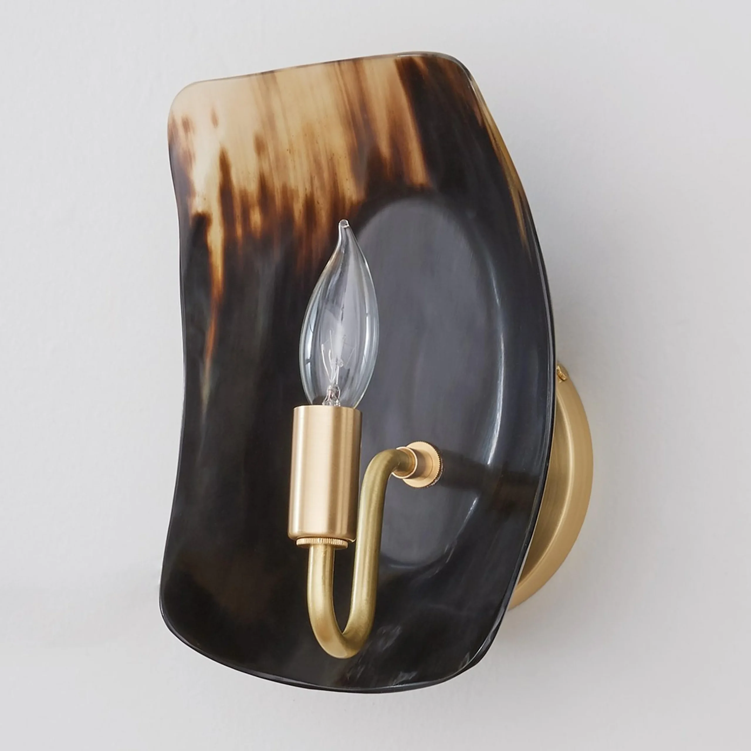 Polished Horn Sconce