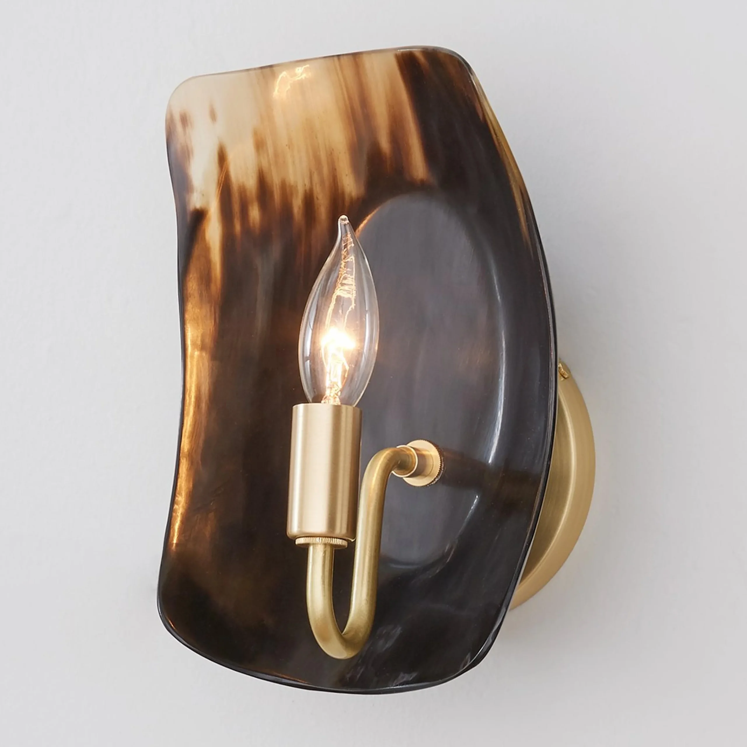 Polished Horn Sconce