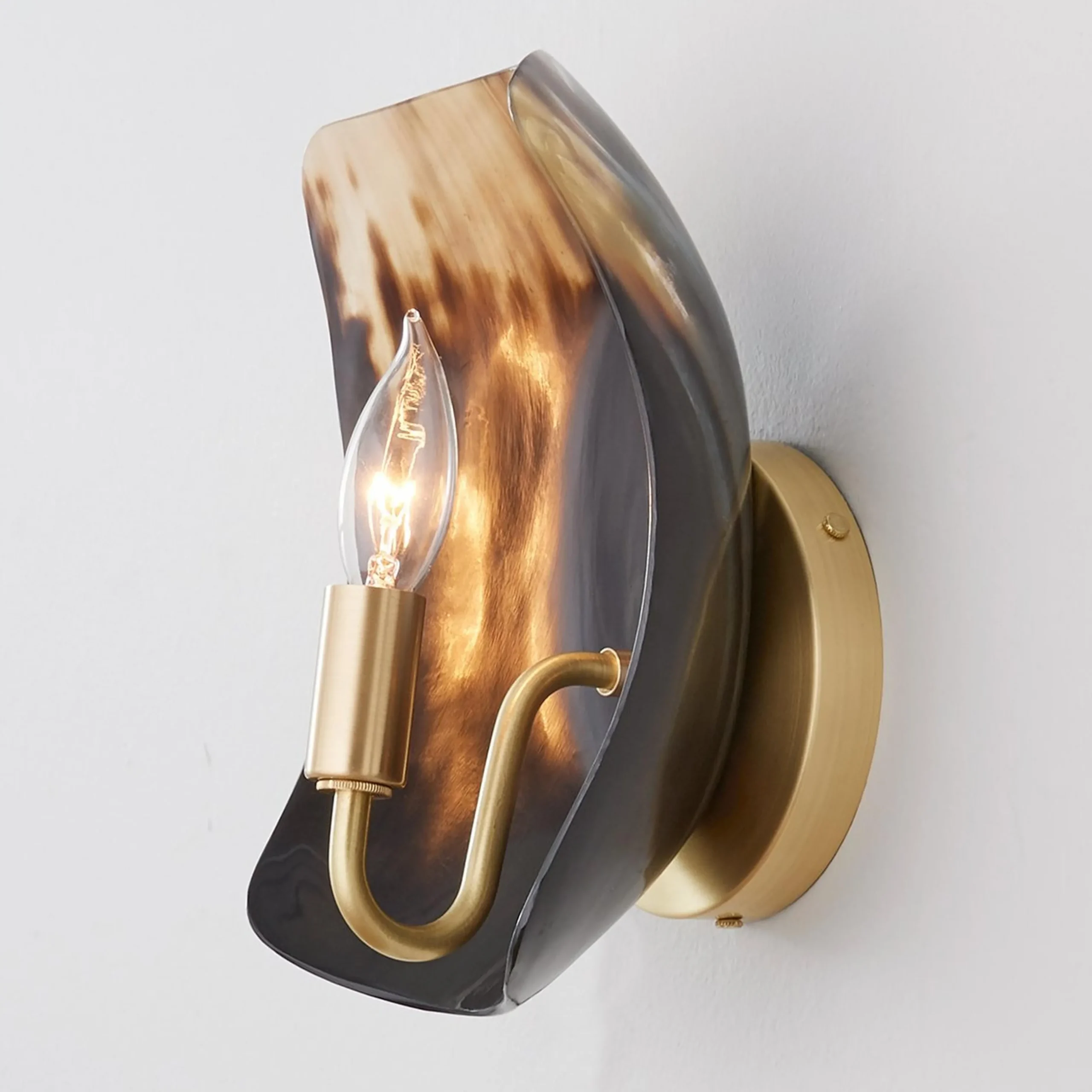 Polished Horn Sconce