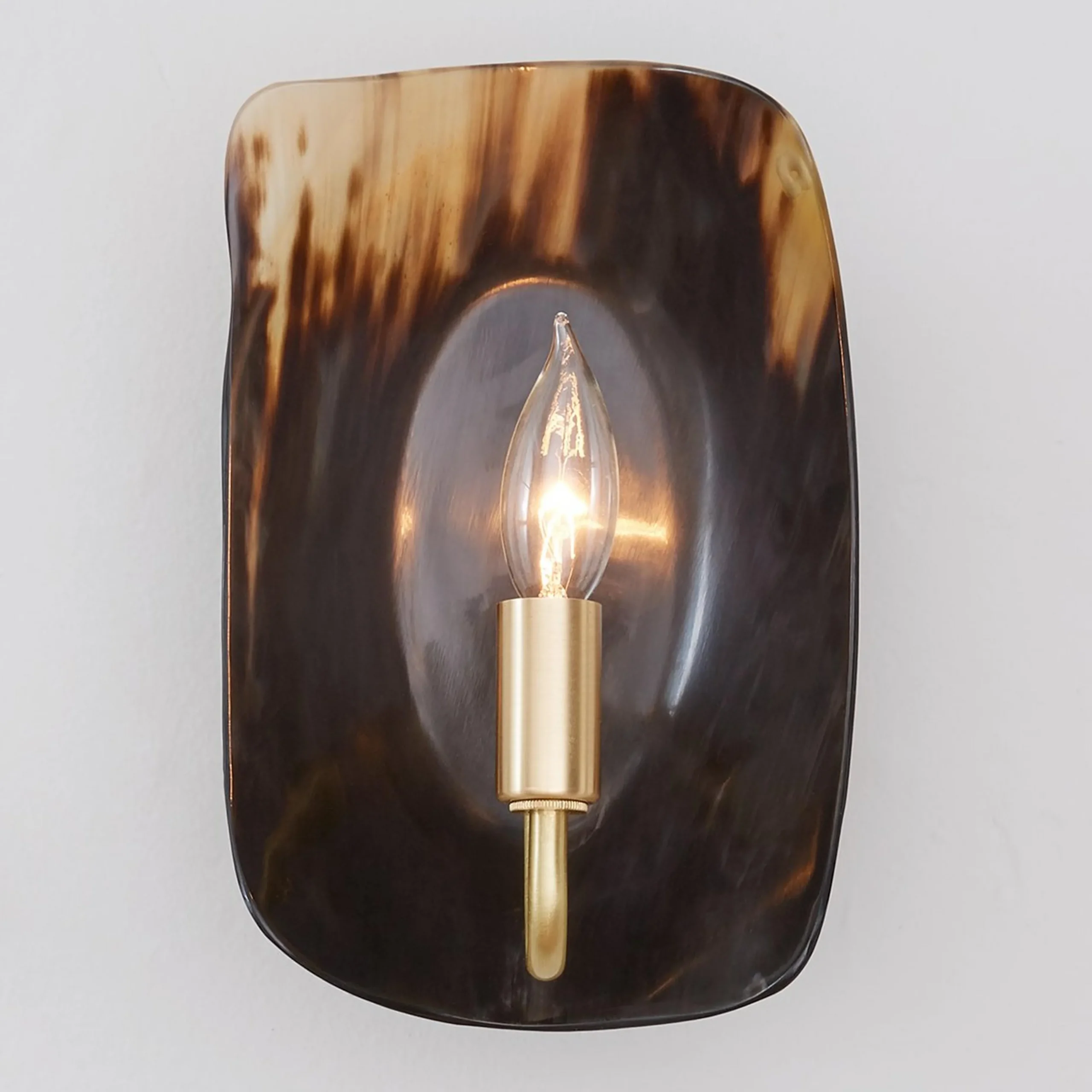 Polished Horn Sconce