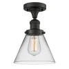 Restoration Stationary Ceiling Light - Clear Glass