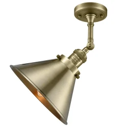 Restoration Swivel Arm Convertible Light - Metal