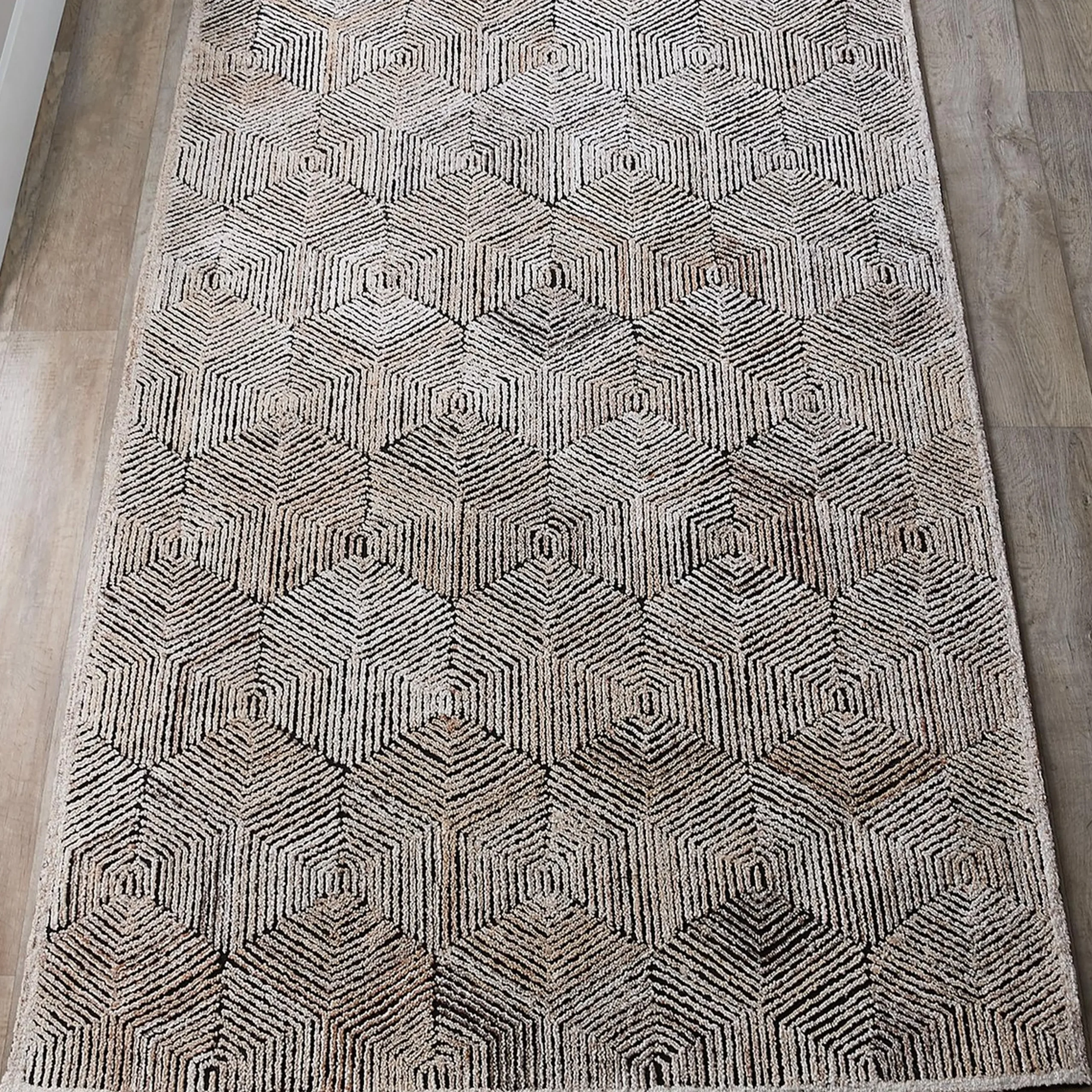Ricci Rug