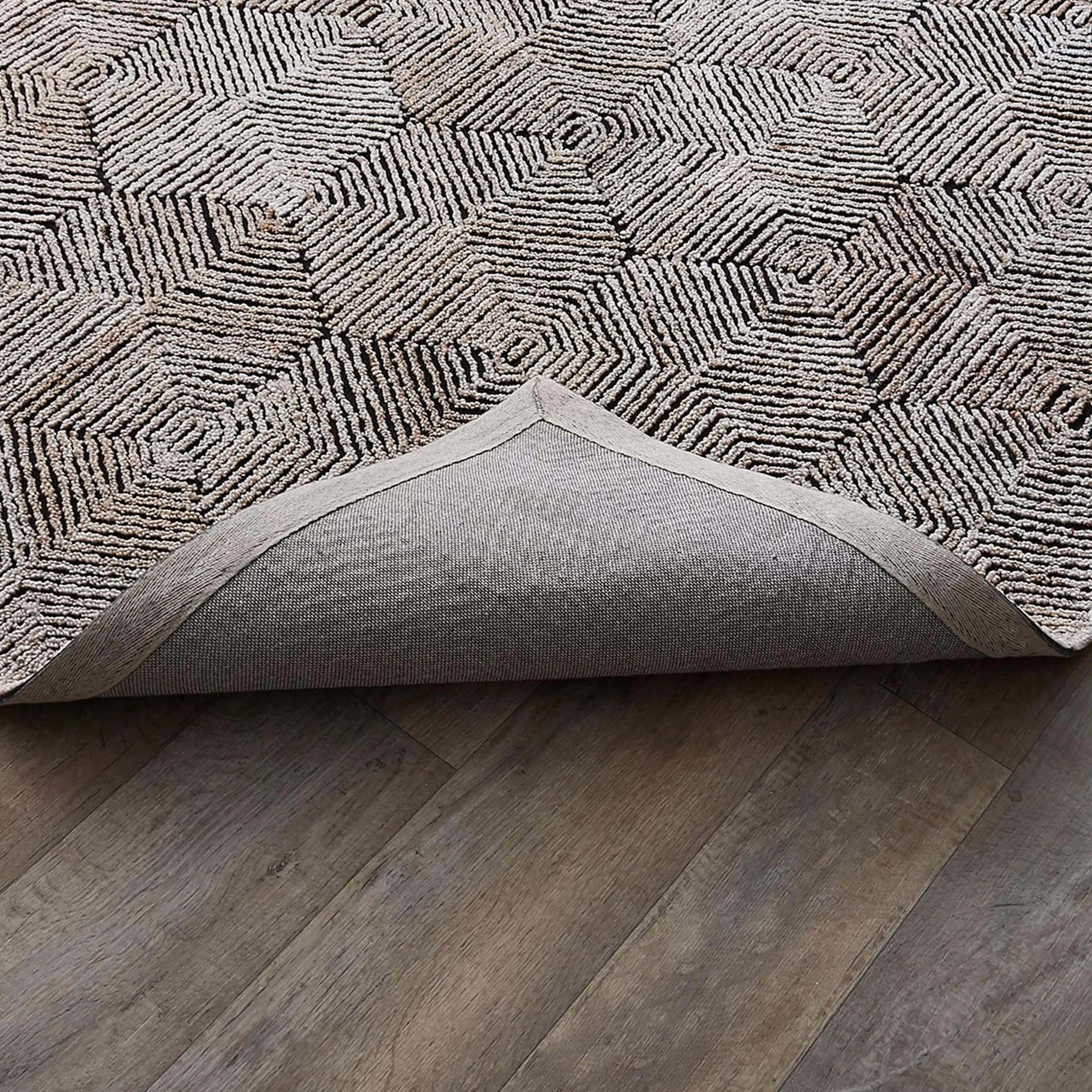 Ricci Rug
