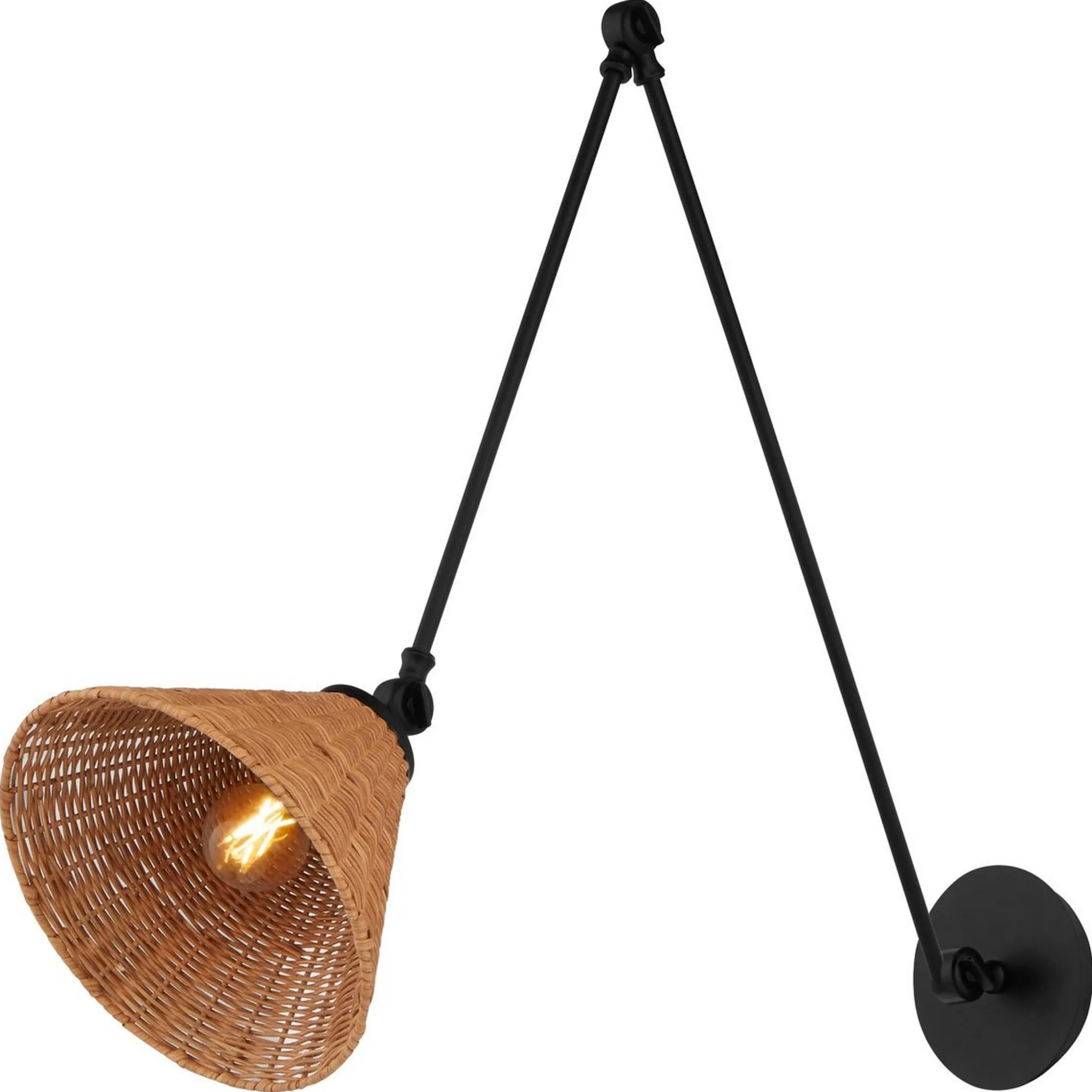 Rosa Swing Arm Sconce