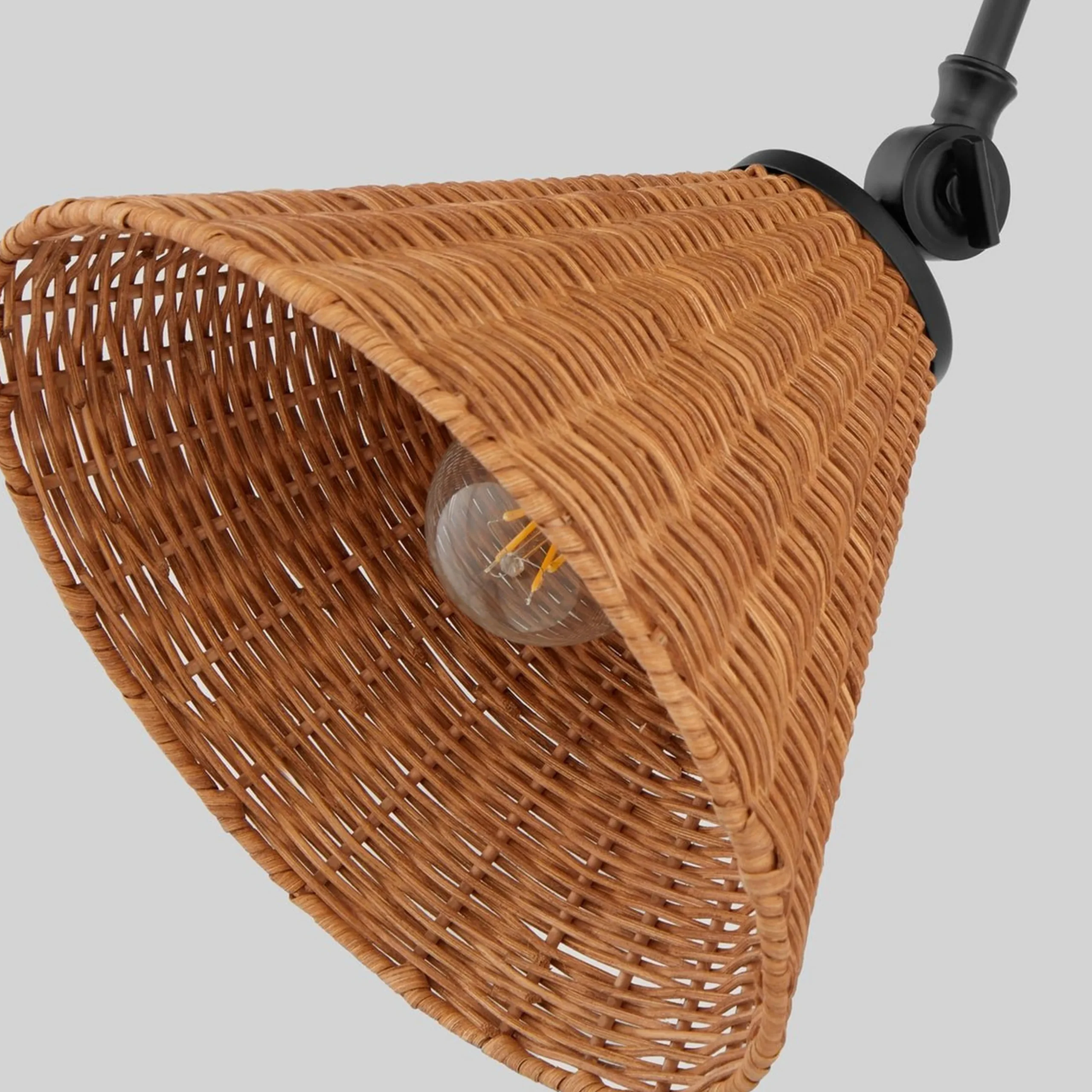 Rosa Swing Arm Sconce
