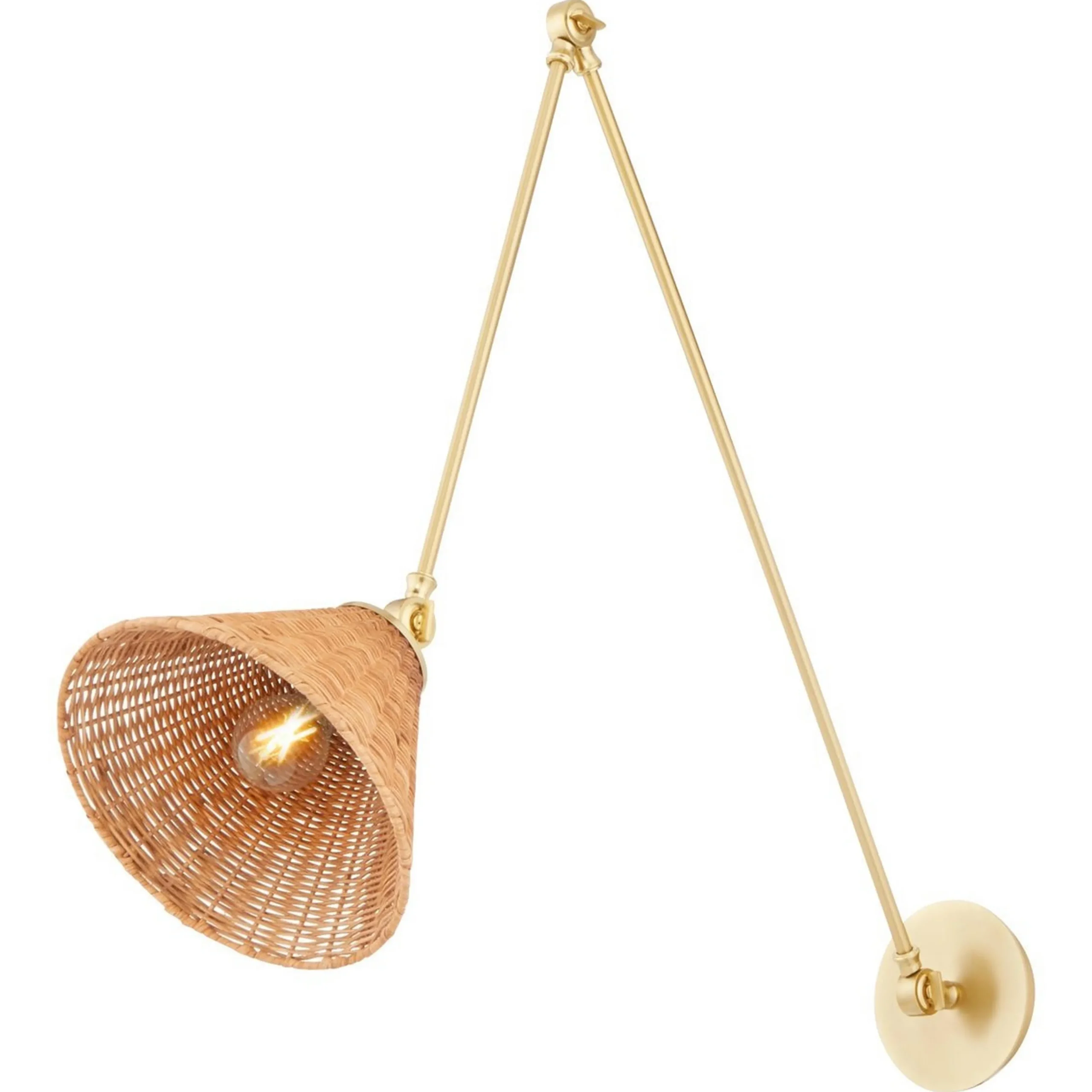 Rosa Swing Arm Sconce