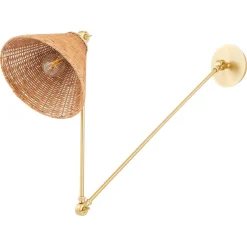 Rosa Swing Arm Sconce