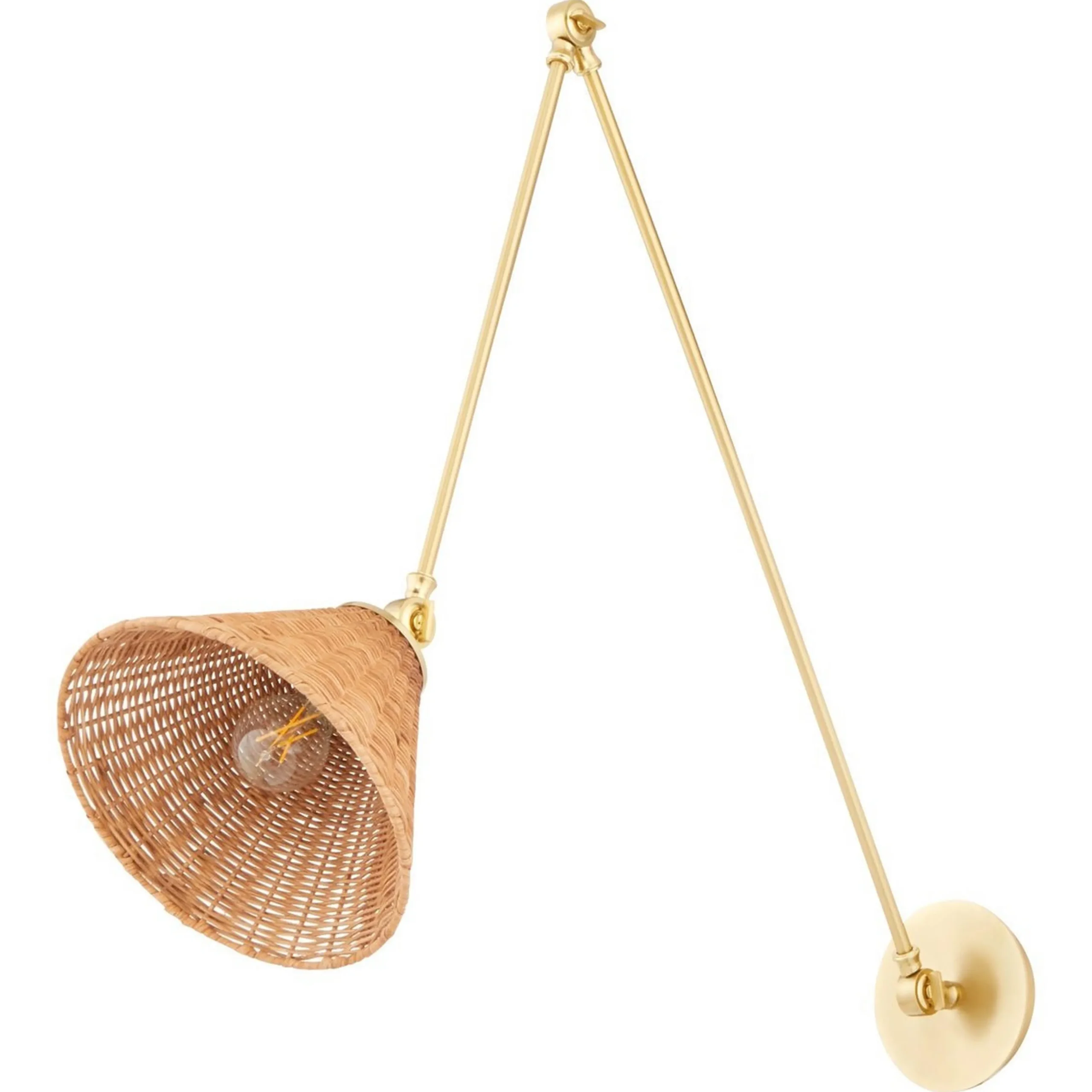 Rosa Swing Arm Sconce
