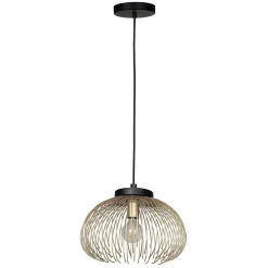 Salsola Convertible Ceiling Light