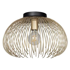 Salsola Convertible Ceiling Light