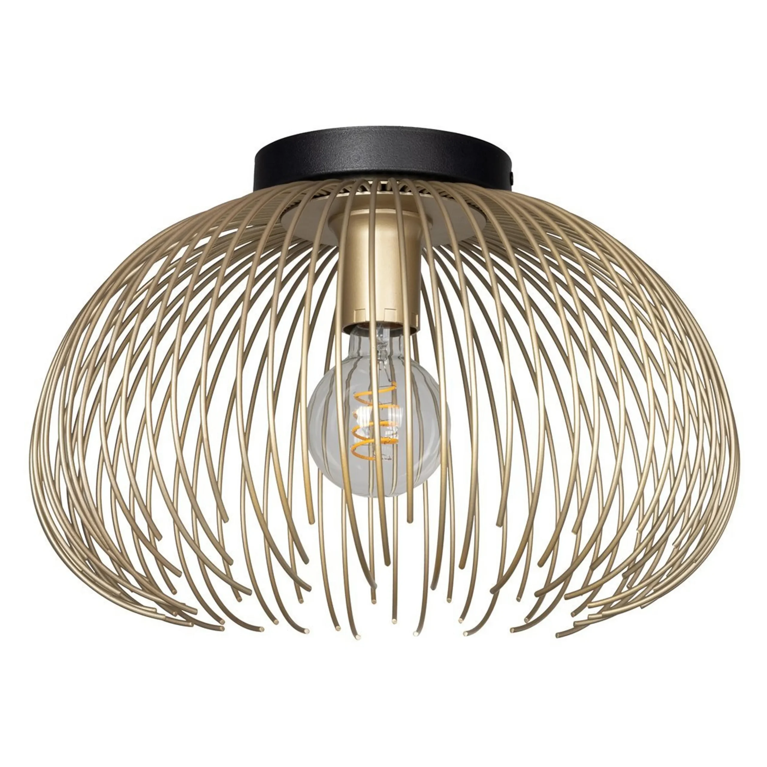 Salsola Convertible Ceiling Light
