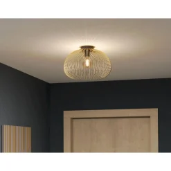 Salsola Convertible Ceiling Light