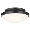 Sarai Ceiling Light