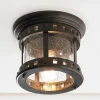 Seeded Glass Prairie Style Outdoor Ceiling Light