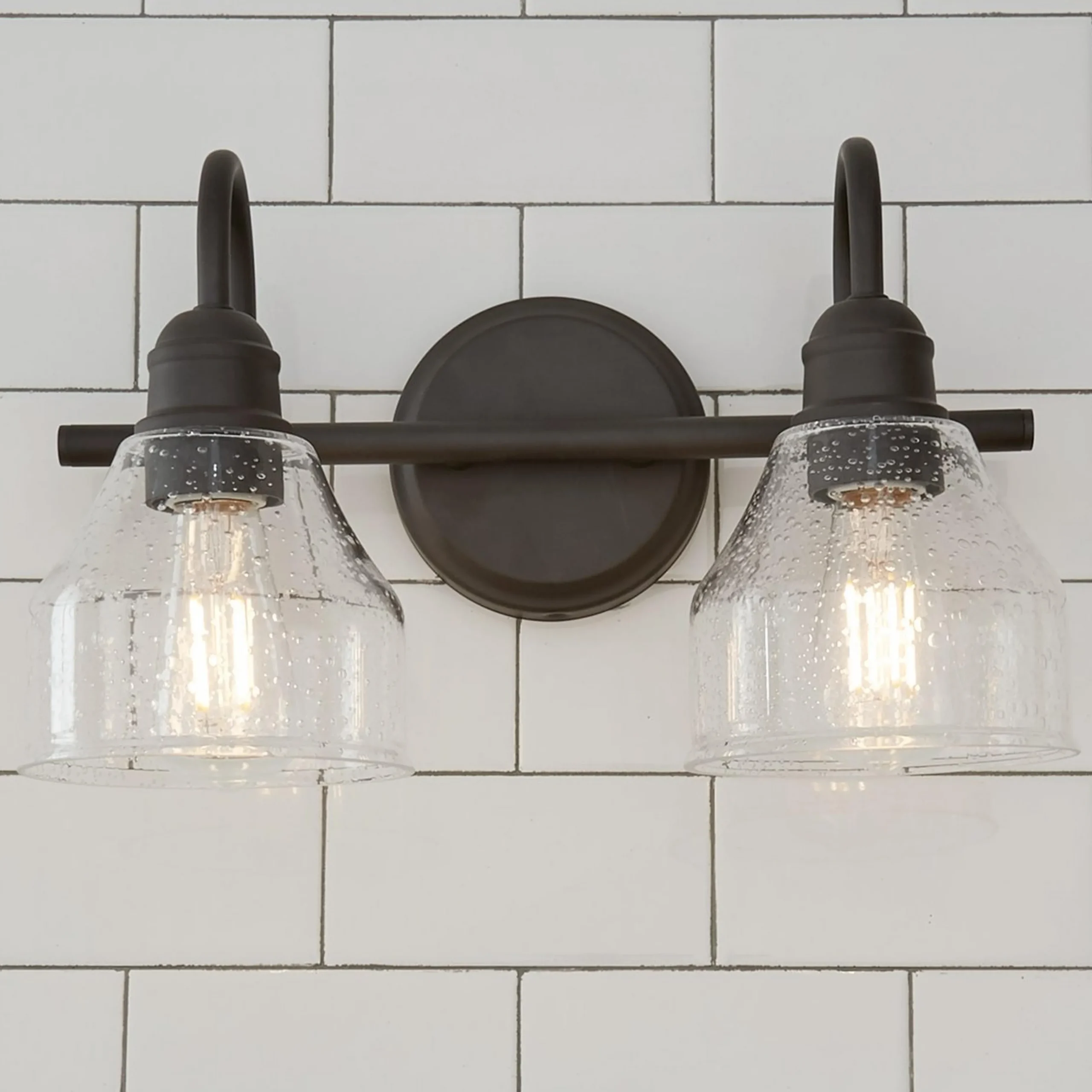 Seedy Gooseneck Vanity Light - 2 Light