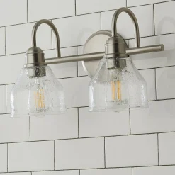 Seedy Gooseneck Vanity Light - 2 Light
