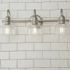 Seedy Gooseneck Vanity Light - 3 Light