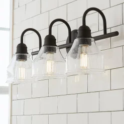 Seedy Gooseneck Vanity Light - 3 Light