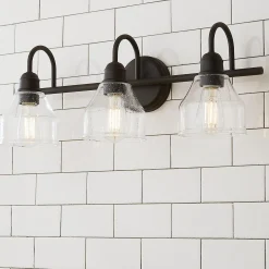 Seedy Gooseneck Vanity Light - 3 Light