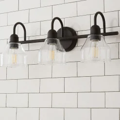 Seedy Gooseneck Vanity Light - 3 Light