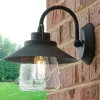 Shaded Firefly Outdoor Sconce