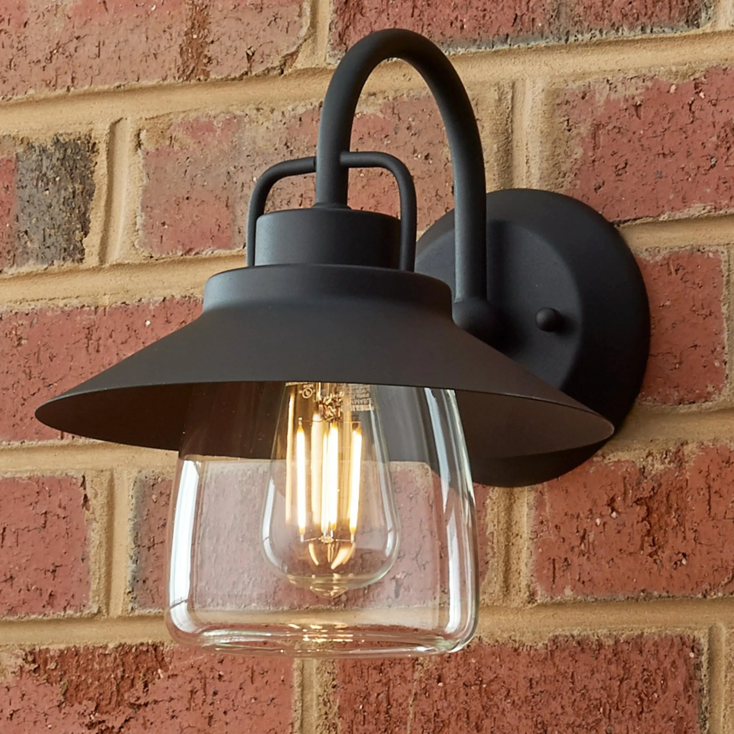 Shaded Firefly Outdoor Sconce