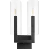 Shavonne Vanity Light - 2 Light