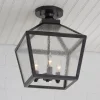 Shenandoah Outdoor Ceiling Light