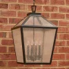 Shenandoah Outdoor Hanging Lantern