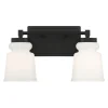 Snowmelt Vanity Light - 2 Light